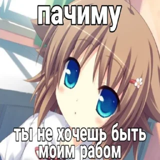 Стикер пак квиксти - 2