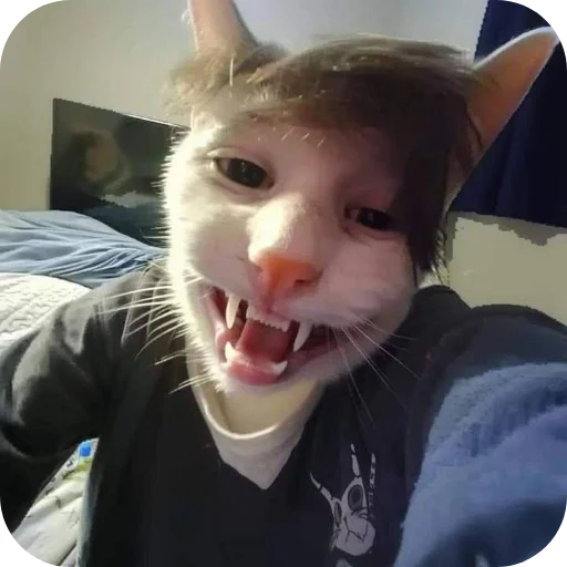 Sticker pakazpal - 1