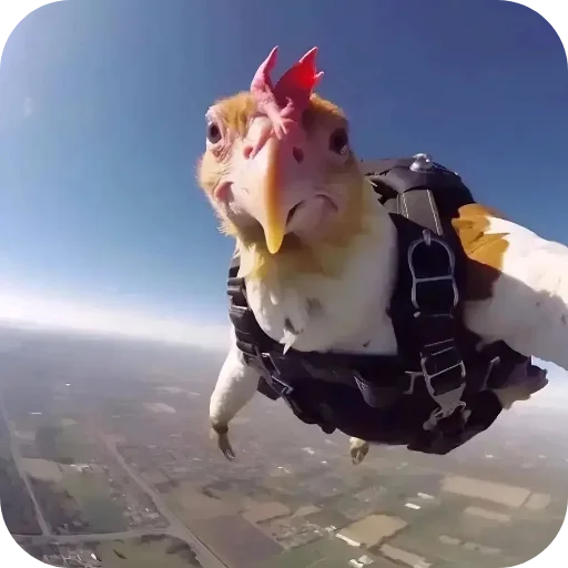 Sticker pakazpal - 1