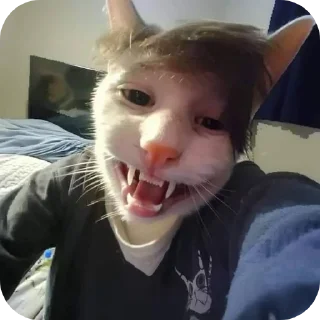 Стикер ЧЕКНИ ТУТ МЕМЫ ➡️ @pakkazz - 9