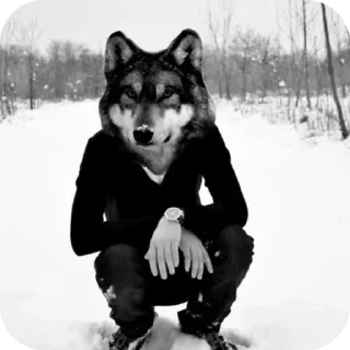 Стикер ЧЕКНИ ТУТ МЕМЫ ➡️ @pakkazz - 11