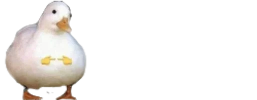 животное птица водная птица