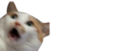 животное млекопитающее домашняя кошка