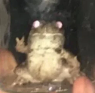 Стикер пак номер 3 - 1