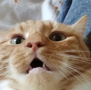 Стикер пак номер 3 - 0