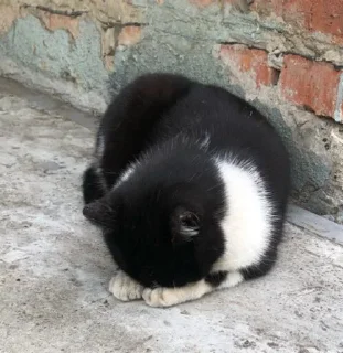 Стикер пак номер 3 - 2