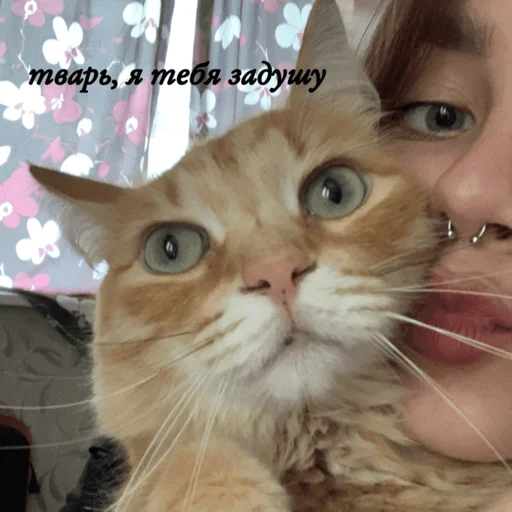 Sticker Козлопак - 4