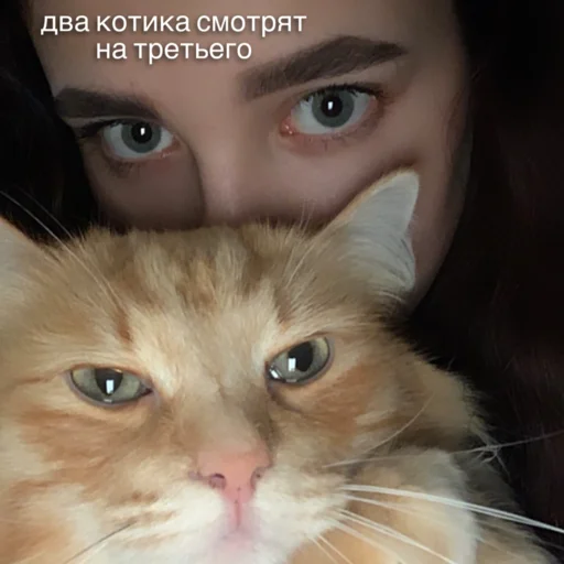 Sticker Козлопак - 2