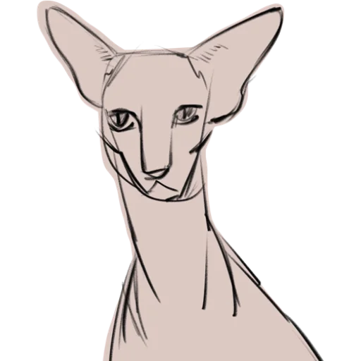 Sticker pale_cats - 1