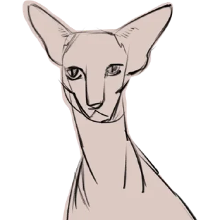 Стикер Mad_cat @takvyshlo_tg - 5