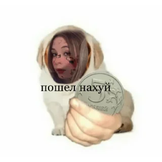 Sticker пампирап - 2