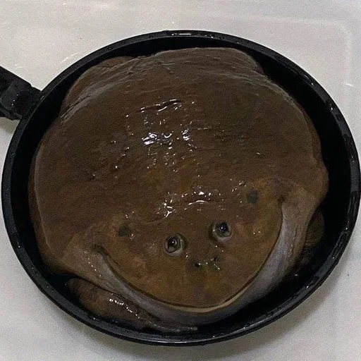 cookware and bakeware frying pan kitchenware