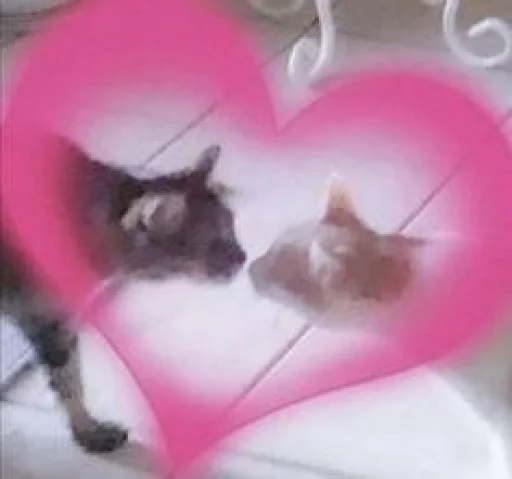 Стикер papasconsalsa - 1