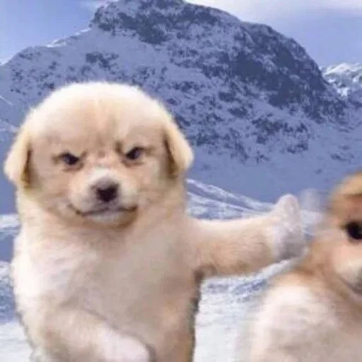 Sticker papasconsalsa - 1