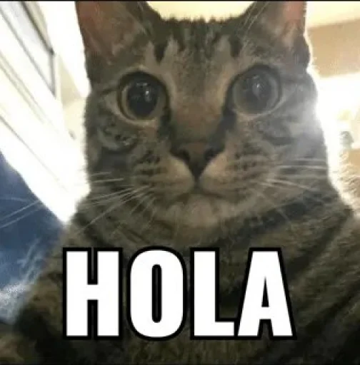 Стикер papasconsalsa - 1