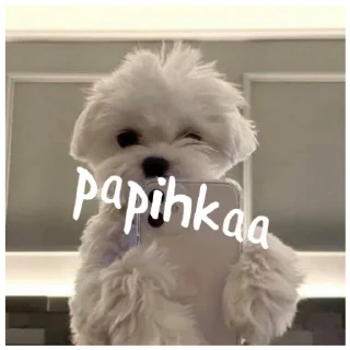 Стикер papihkaa - 4