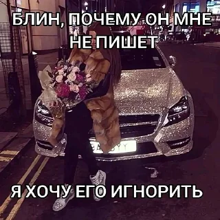 Sticker @papkahokage1337 - 5