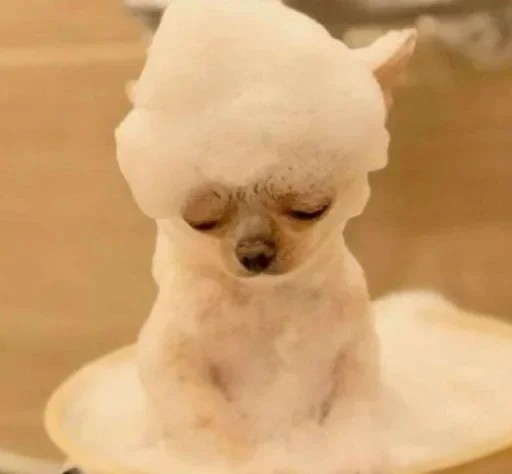 Sticker parparpckge - 1