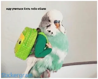 Стикер Какой же ты ущерб мать моя попугай - 2