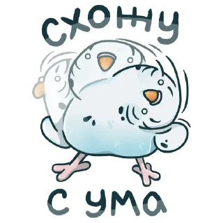 Sticker Попуг Пупсик @kiskina_risuet - 6