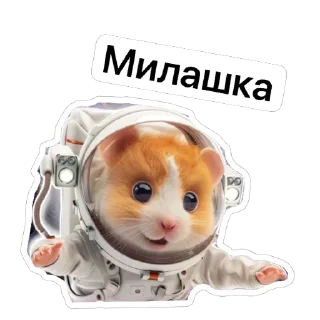 Стикер Больше стиков тут: @stikery4 - 4