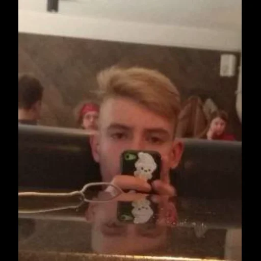 Человек человеческое лицо комнатный