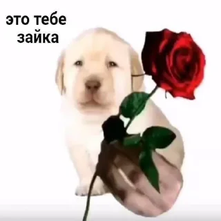 Стикер бебек - 1