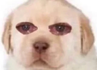 Стикер бебек - 9