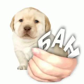 Стикер бебек - 4