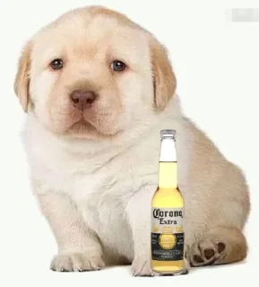 Стикер бебек - 3