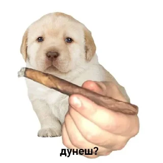 Стикер бебек - 10