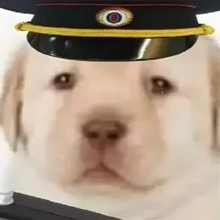 Стикер бебек - 8