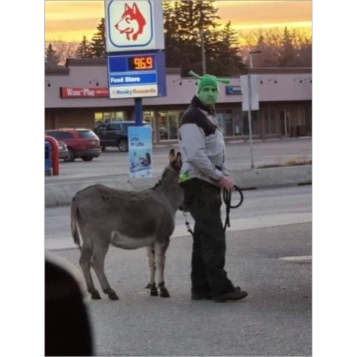 Sticker pasmurno_segodnya - 1