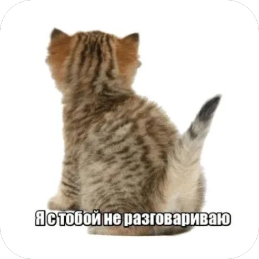 Sticker patamushta_ya_behtmen - 1