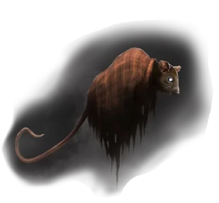 animal organism fish