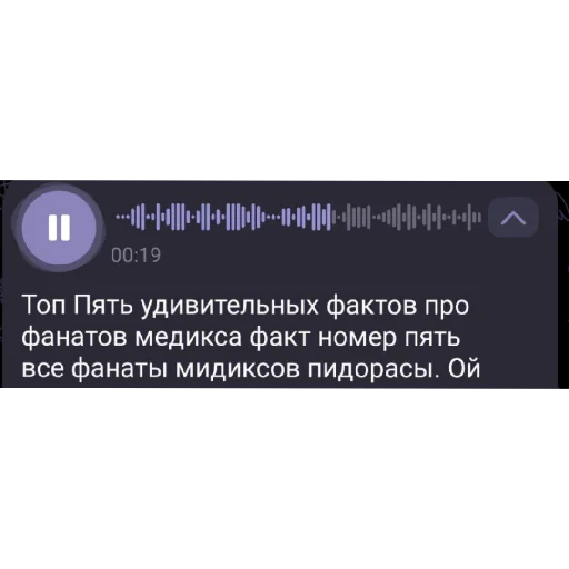 паучадикс сквад - 