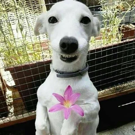 Sticker pbsbHnt_by_achestickbot - 1