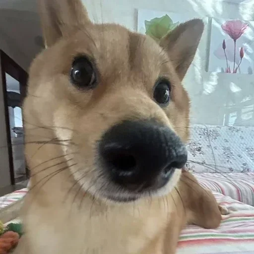 Sticker pbsbHnt_by_achestickbot - 1