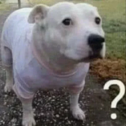 Sticker pbsbHnt_by_achestickbot - 1