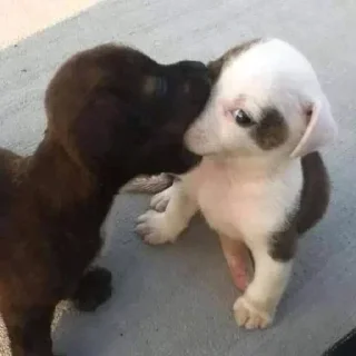 Стикер Больше стиков тут: @stikery4 - 3