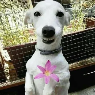 Стикер Больше стиков тут: @stikery4 - 10