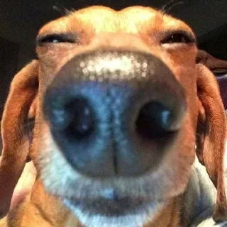 Стикер Больше стиков тут: @stikery4 - 4