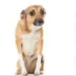 Стикер Больше стиков тут: @stikery4 - 9