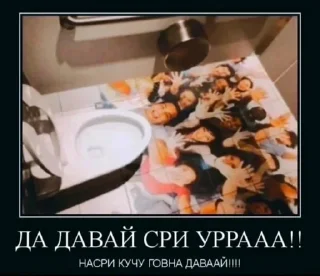 Стикер @all_stickery - 10