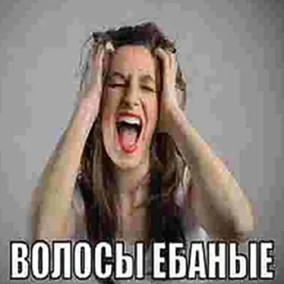 Стикер @all_stickery - 6