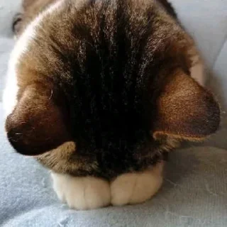 ????? ????????? by @fStikBot - Человек