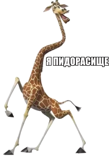 СМС животное мультфильм