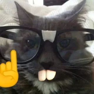 Стикер чо? - 8