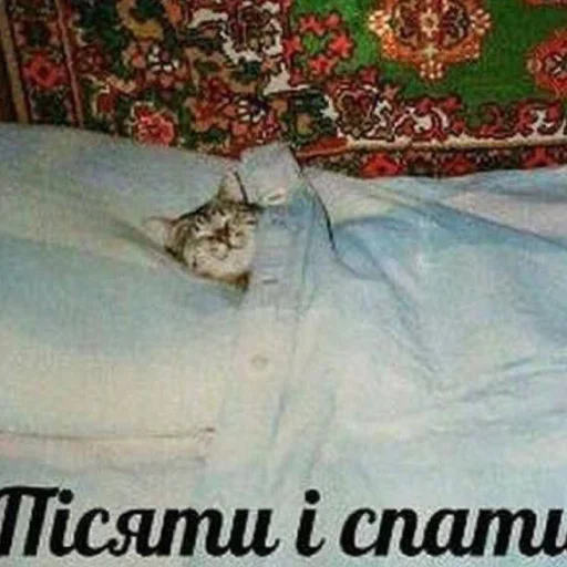 Пісяти й спати - 