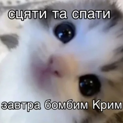 Стикер peeandsleep - 1